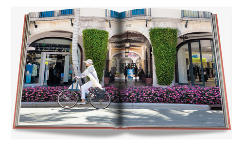 Libro Palm Beach, De Aerin Lauder, Editorial Assouline