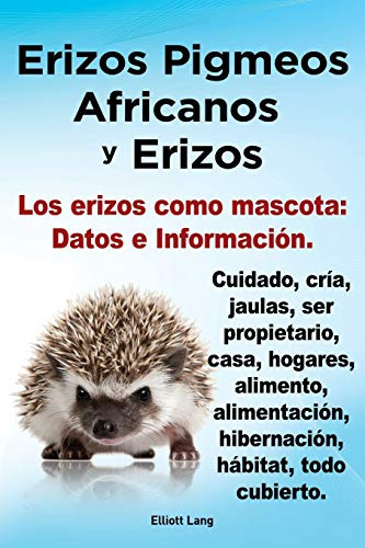 Erizos Pigmeos Africanos Y Erizos. Los Erizos Como Mascota: