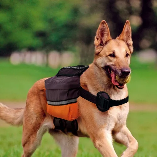 Mochila alforja para perros sales