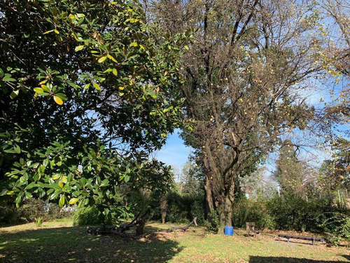 Imagen 15 de 26 de Quinta En Venta- Pilar