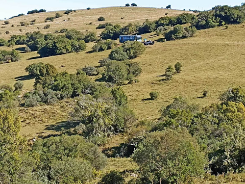 Imagen 3 de 4 de Al1116 Venta 40 Hectareas De Pradera En Paraje Sauce Aiguá