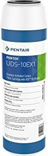 Pentair Pentek Uds-10ex1 Filtro De Agua De Carbono, 10.0 in,