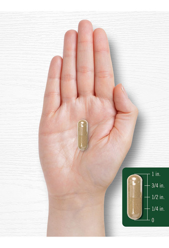 Extracto De Alcachofa Carlyle 8000 Mg 200 Cápsulas Digestión Sabor Sin Sabor