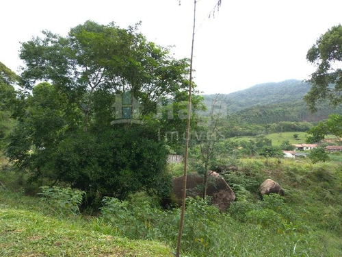 Imagem 8 de 26 de Chácara À Venda Em Canelinha/sc - 1026c