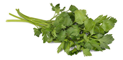 Sementes De Salsa Lisa (50g) Topseed