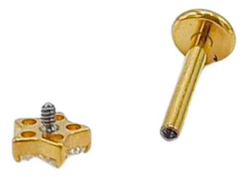 Aros Punto De Luz Flor 16g Titanio Astm F136 G23 Dorados