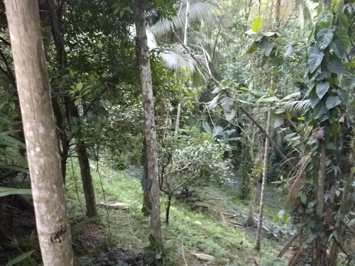 Sítio À Venda Em Brusque/sc - 499