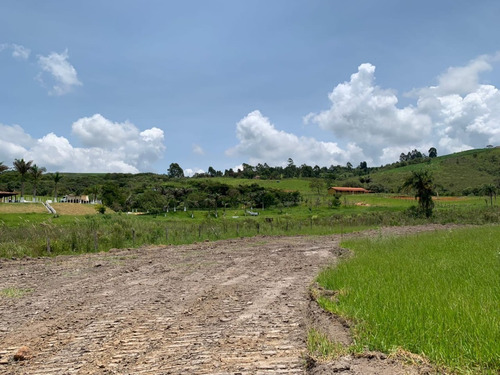 Imagem 22 de 26 de Tm- Vendo Lote Barato Tratar Direto Com Proprietário