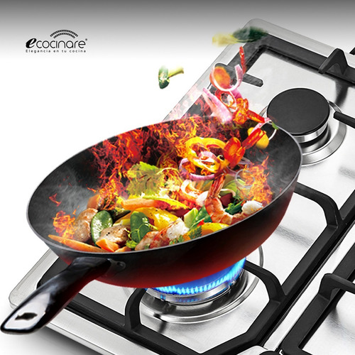 Imagen 7 de 7 de Parrilla Estufa De Gas Lp Natural Acero Inox Ecocinare Ms