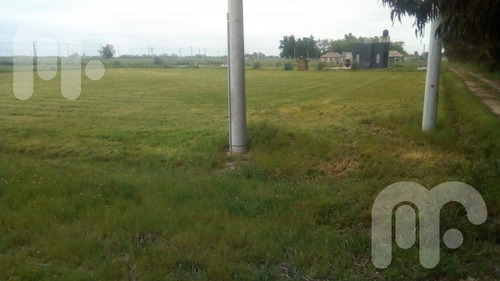 Imagen 17 de 19 de Terreno - La Plata