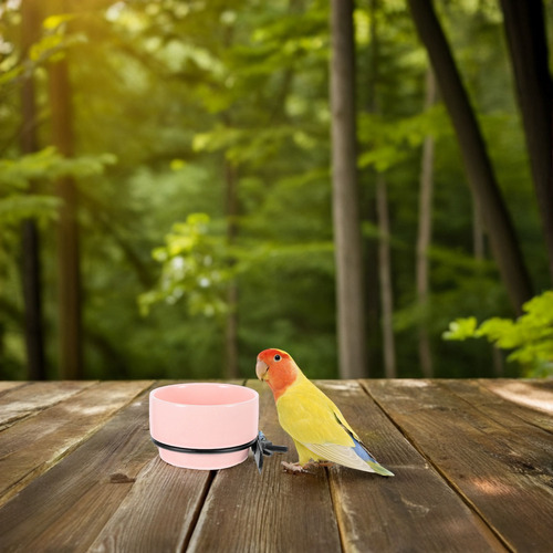 Comedero De Comida Y Agua Para Loros, Cuenco Extraíble De Ce