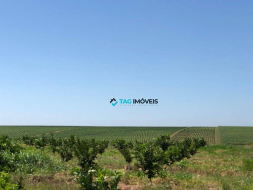 Imagem 3 de 3 de Fazenda Para Venda Com 255 Hectares No Espírito Santo Do Turvo - Sp - Fa0008