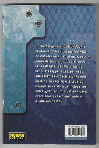 Imagen 2 de 2 de Neogénesis Evangelion #13