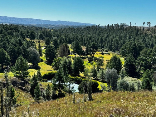 En Venta Excelente Propiedad Con Costa Rio - En San Miguel De Los Rios - Inv0157