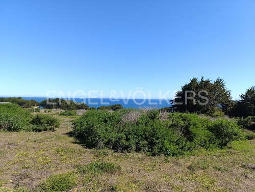 Vista Y Acceso Al Mar En Cahuil, Pichilemu.