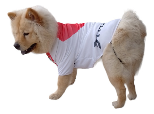 Camiseta De Fútbol Para Perros River Plate
