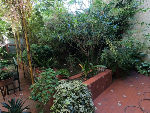 Imagen 11 de 14 de Ph Al Frente 6 Ambientes Apto Profesional - Floresta - Patio
