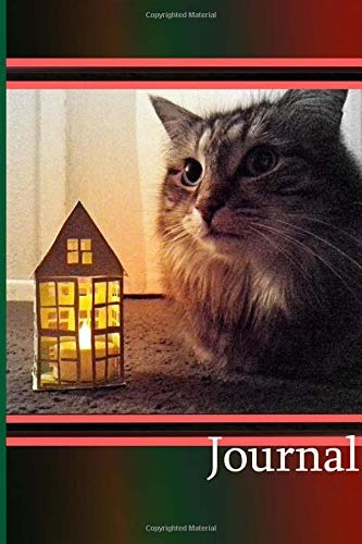 Journal Juju The Cat Notebook Is 6 By 9 Inches And Has 80 Pa