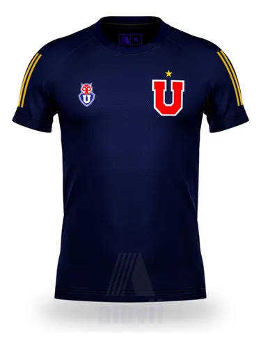 Buzo universidad de online chile 2021