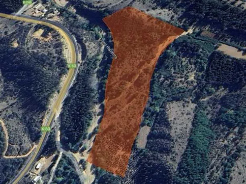 Predio Agricola De 4,67 Ha, La Palma, Curepto (80807)