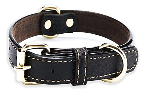 Collar De Perro De Cuero Para Perros Pequeños Modern 4s9jx