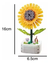 Comprar Flores Eternas Para Regalar