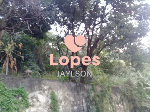 Imagem 14 de 15 de Terreno - Lins De Vasconcelos - 579636