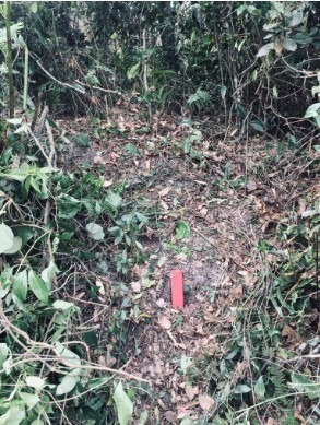 Terreno Perto Da Pista De 300 M² Em Itanhaém | Entrada 7 Mil
