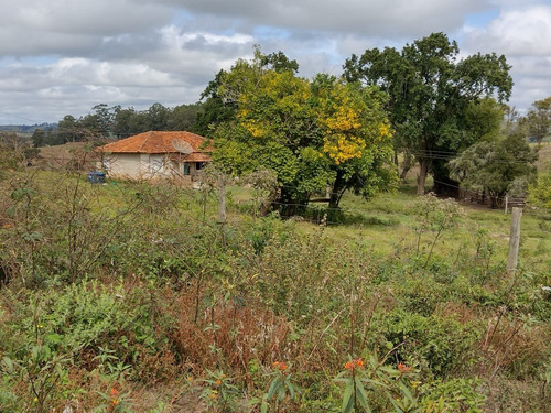 Imagem 7 de 13 de Chácara 1,5 Alqueires Não Tem Casa Só Terra,400mts Do Asfalto,localização Nobre,agua Cristalina Nascente,27 Kms Do Centro De Itapetininga - Ch00082 - 69505785