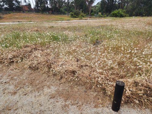 Maravilloso Terreno No Perimetral En Condominio Los Maitenes