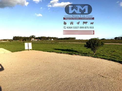 Venta Terreno En Trinidad Flores 10000 M2 Zona La Aviación