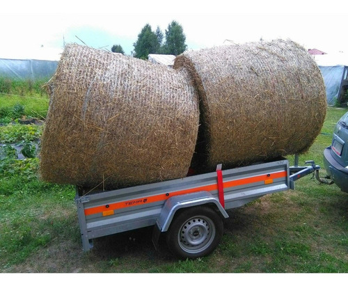 Imagen 13 de 14 de Trailer Temared - Eco 2010 - 750 Kg - 1.99 X 1.06 X 0.32