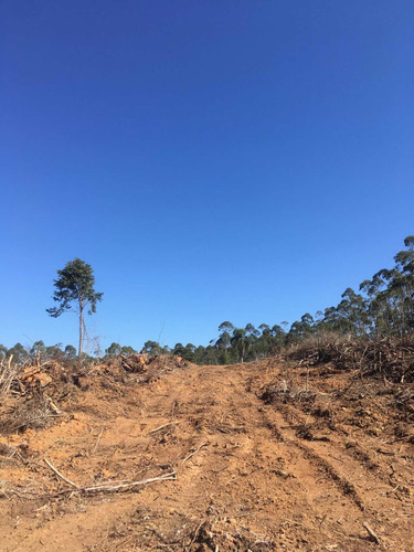 Imagem 9 de 14 de A01- 1500m2 De Terreno Plaino Em Ibiuna!