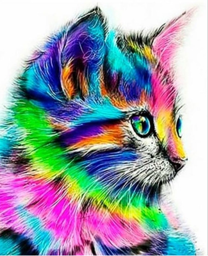 Lienzo Gato Multicolor Pinta Con Números Timai Cuadro