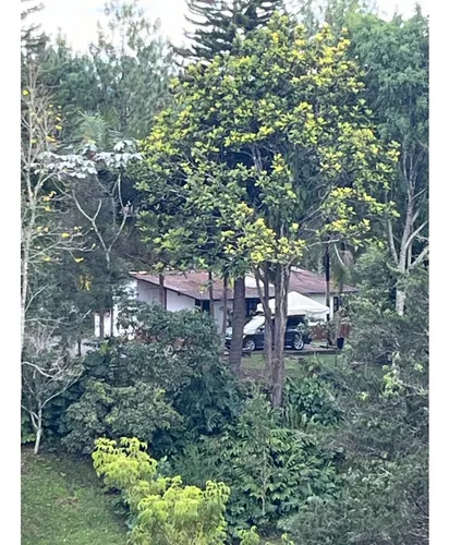 Se Vende Finca En Rionegro Vda Las Cuchillas Área Lote 7397 M2 Negocia