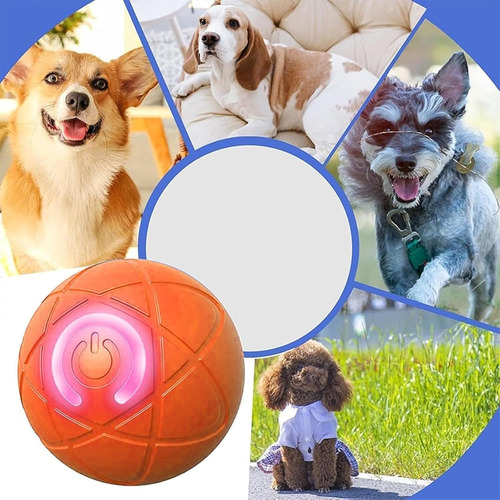 2 Pelotas Automáticas Para Perros Juego Y Ejercicio