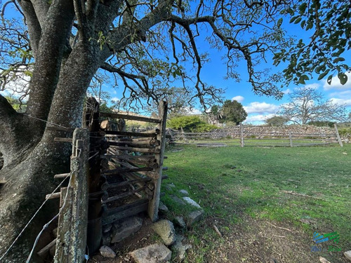 Imagen 5 de 24 de Lindo Campo Para Fraccionar, Sobre Ruta Y A Poco Mas De 1 Hora De Punta