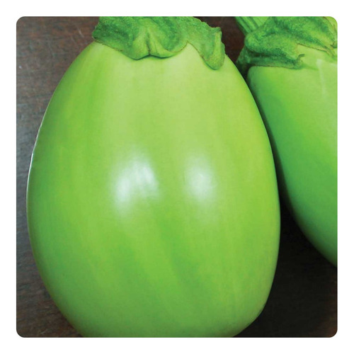 11.0000 Solanum Aethiopicum - 50g