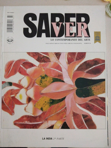 Revista Saber Ver La India Segunda Parte 34