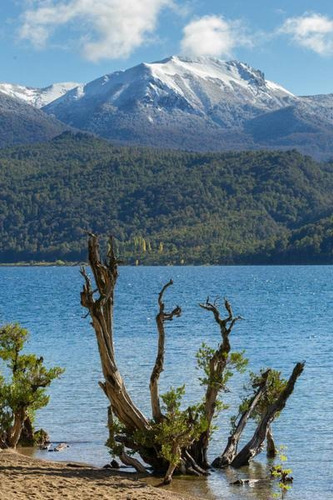 En Venta 1hectárea En Quila Quina Lago Lácar San Martín De Los Andes