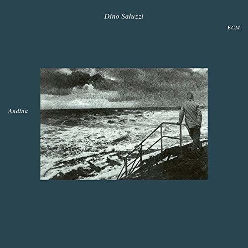 Andina - Saluzzi Dino (cd)