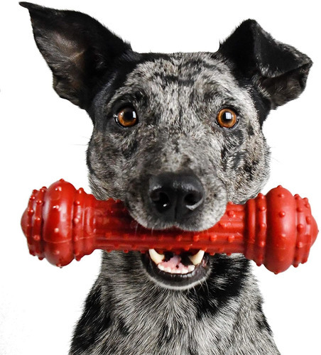Juguete Masticable Para Perros Pet Qwerks