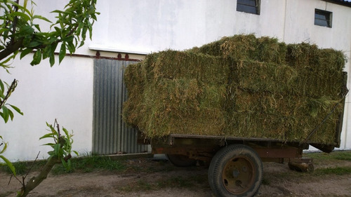 Imagen 1 de 1 de Fardos De Alfalfa Y Mezcla Envios Factura Oficial