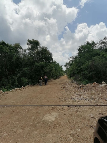 Imagen 8 de 10 de Lotes Semi Urbanizados Punta Clara En Dzidzantún, Yucatán