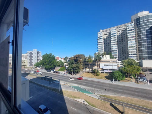 Imagen 3 de 25 de Alquilo Apartamento Parque Batlle 3 Dormitorios 2 Baños