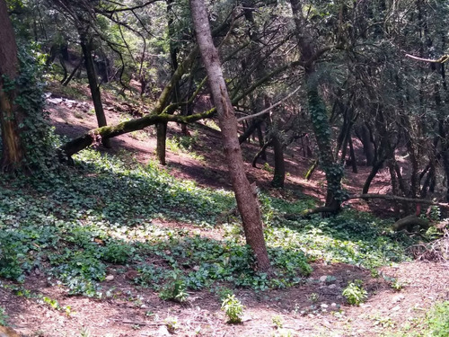 Terreno En Venta A Menos De 1km Del Parque Nacional Desierto