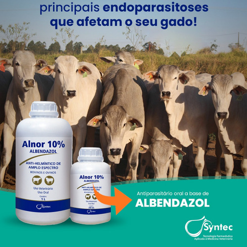 Alnor 10% Syntec Vermífugo Bovinos E Ovinos - 1 Litro