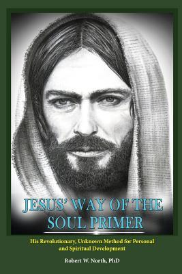 Libro Jesus' Way Of The Soul Primer : His Revolutionary U...