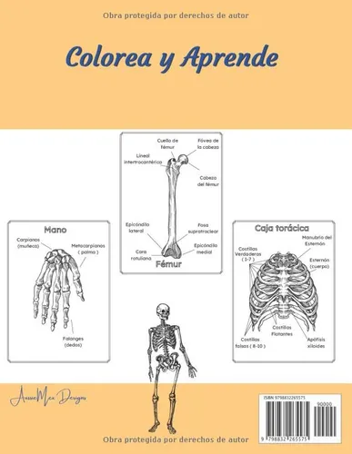 Libro : Anatomia Humana Libro De Colorear Colorea Y Aprende