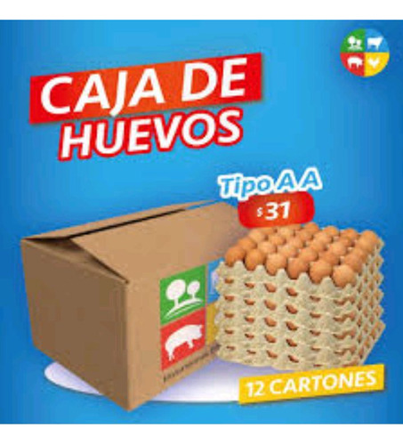 Cajas Cartón Huevos Usadas 50 Unidades